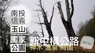 【南投信義】新中橫公路之旅 短片