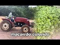 VROG 115: MACARRÃO COM SOBORÔ