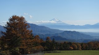 【Full HD】まきば公園の紅葉