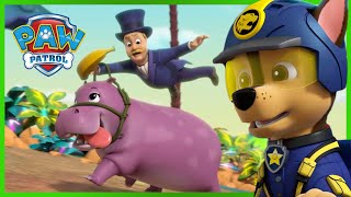 Jungle Pups: Pups Save Humdinger and a Hippo! - PAW Patrol Episode - Cartoons for Kids