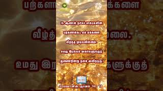 சாலமோனின்ஞானம்16 : 10 - 11 #reels #shorts #வேதவசனம் #பைபிள்வசனம் #நச்சுப் பாம்பு #மக்கள் #இரக்கம்