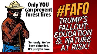 🌪️ #FAFO Find Out Season: Trump Election Fall Out 🌪️