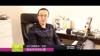 王晗老师 音咬字的处理 演唱教学 唱歌技巧