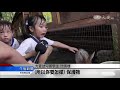 20160803【教育】拜訪城市農場 好奇探索動物世界