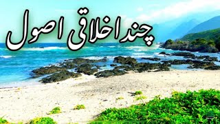 chand ikhlaqi asool /aqwal e zareen in urdu