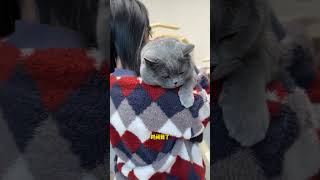 猫：我这一生真是如履薄冰啊 又是猫咪胡说八道的一天 谁能拒绝傻憨憨的小猫咪 谁能拒绝会说萝卜刀的小猫咪