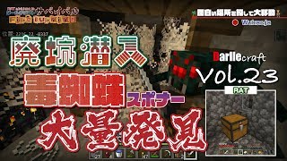 【マイクラ】毒蜘蛛スポナー大量発見！！廃坑に潜入します！！ダールクラフト Vol.23