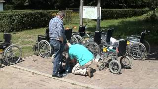 Zonnebloem afd. Drunen/Elshout