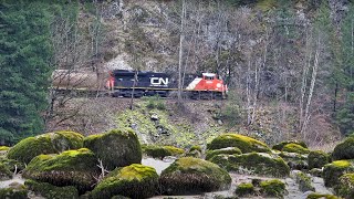 Emory Creek Action, 6 Busy Trains, Rare CN C44-9WL leader and more! along the Fraser River BC