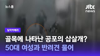 [밀착카메라] 골목에 나타난 공포의 삽살개?…50대 여성과 반려견 물어 / JTBC 뉴스룸