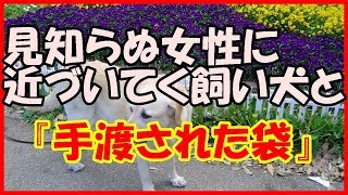 【感動する話 犬】見知らぬ女性に近づいてく飼い犬と『手渡された袋』【ほっこり 和んだ話】