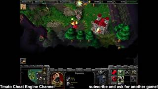 Warcraft III: Reign of Chaos Immortal, enemy hp 1 Infinite gold, wood, food Tmato Cheat Engine