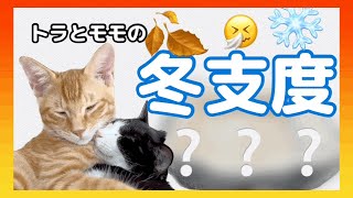 【子猫】しつこい猫風邪の再発を防ぎたい！秋冬の寒さ対策❄️