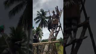 Asmat ancestor pole ceremony