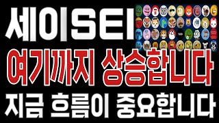 세이SEI _ 코인전망 드디어 터진다. 1분전 긴급속보 이제부터 시작입니다. 세이SEI #세이SEI목표가 시세전망 호재