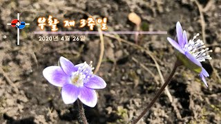 2020년 부활 제 3주일 임성진 세례자 요한 신부님 강론 - 디트로이트 한인성당