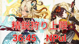 ver.5.2精鋭狩り上限 36:45 (npui/地脈無)