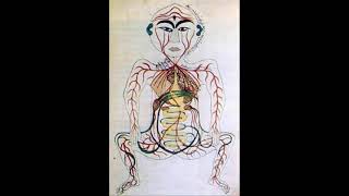 Perfect Digestive System Health (Constipation, gas, acidity)  [Morphic Field]