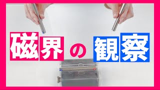 【実験】棒磁石がつくる磁界〜立体磁界観察槽と磁界観察プレートでの磁界の観察〜