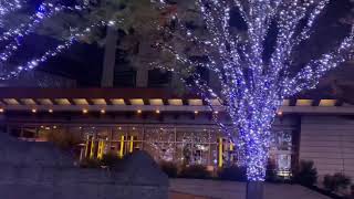 東京六本木聖誕燈飾欣賞Christmas in Tokyo