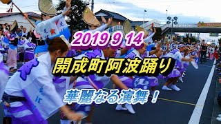 2019 開成町阿波おどり　天狗連　笑星連　壱粋