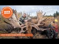 World-Class Trophy Moose Hunt Sweepstakes | Worldwide Trophy Adventures