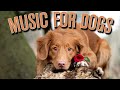 4 HOURS of Calming Music for Dogs: Anti Separation Anxiety Relief