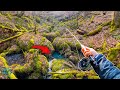 Trout Fishing a TINY Creek!! (3 Days of Fly Fishing)