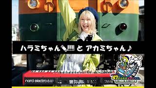 ハラミちゃん🍖🎹の相棒は北欧生まれのアカミちゃん / お米🍚編集