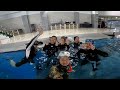 아이다1 인트로덕션 프리다이버 aida1 introduction freediver ㅈ상ㅇ