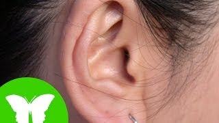 La Eduteca - Los sentidos: el oído