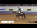 Amateur Ranch Trail - 2024 AQHA World Championship Show