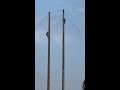 speed pole climbing lumberjack world championships 2021 shorts youtubeshorts