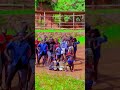 dance afrobeatsdance musicgenre music africa musicstyle afrodance