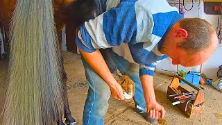 Groom's Horror! This Hoof is Falling Apart! It Hasn't Been Cleaned in 6 Months!