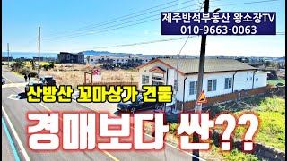 [너무많은 가격인하 / 매물번호 240417-1] 정말 많이내렸습니다. 보시고 결정하세요 / 산방산 꼬마상가건물