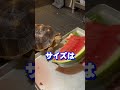 スイカを初めて見たリクガメの反応がこちらｗｗｗｗｗｗｗｗｗｗｗｗｗｗｗｗｗｗ animal pets