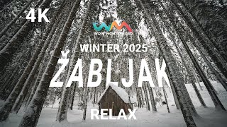 ZABLJAK BLACK LAKE  - WINTER 2025 - 4K - RELAX - WOW MONTENEGRO