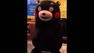 Kumamon Wired Cafe Hong Kong