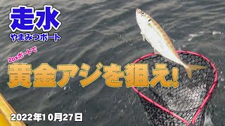 やまみつボートの2psレンタルボートで大津沖の金アジ釣り ラスト1時間で入れ食い！ 2022年10月27日