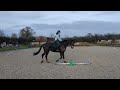 Intro 1 (2024) January 2025. Our first ever dressage test