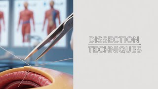 Surgical Dissection Techniques Explained (How To Cut Like A Surgeon)