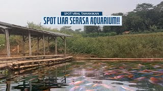 IKAN KALAU SUDAH KUMPUL MANCING SERASA NIMBA, SPOT AQUARIUM SAMBARAN MENGGILA || Mancing Cirata #18