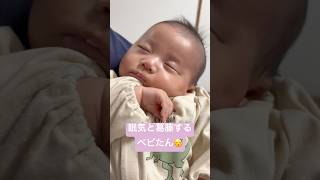 パパの抱っこが心地いい~👼🏻💭🤍#baby #shorts #shortvideo #babyshorts #babyboy #0歳 #赤ちゃん #赤ちゃんのいる生活 #2ヶ月ベビー