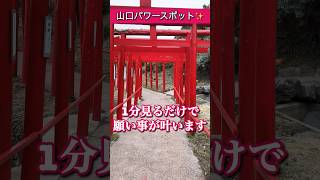 この動画が偶然現れたら金運爆上り！もし逃したら2度とないです！24時間後から良いことが次々と起きます！最強パワースポット（山口県）