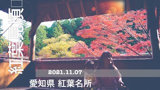 愛知県紅葉名所 大井平公園【VLOG】