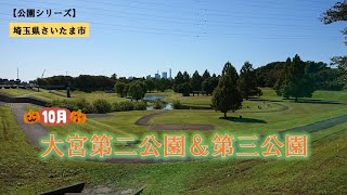 【公園シリーズ】秋空の下１０月の大宮第二公園・第三公園をのんびり散策。