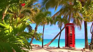 Jazz Music   Smooth Jazz Saxophone   Relaxing Background Music with the Sound of Ocean Waves 1