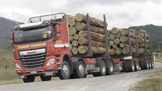 2023 DAF CF 530 Logging Truck