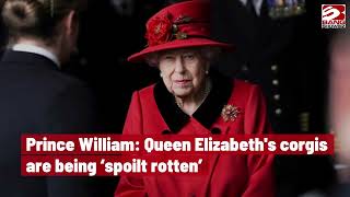 Prince William: Queen Elizabeth's corgis are being ‘spoilt rotten’